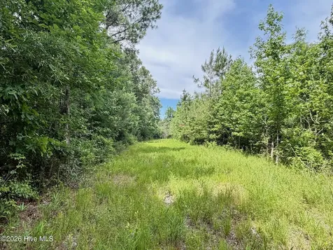 0 Indian Woods Road Windsor NC 27983