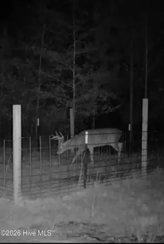 0 Indian Woods Road Windsor NC 27983