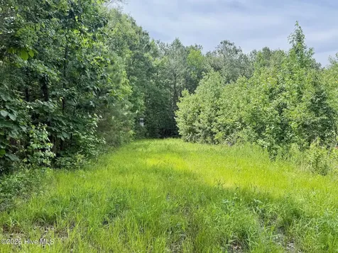 0 Indian Woods Road Windsor NC 27983