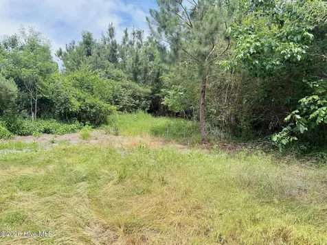 0 Indian Woods Road Windsor NC 27983