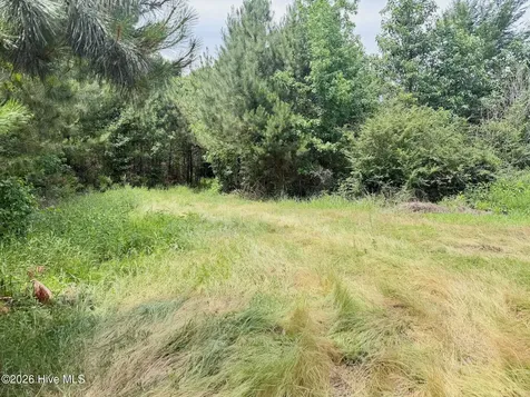 0 Indian Woods Road Windsor NC 27983