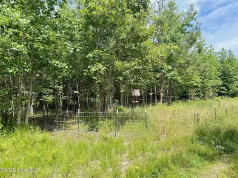 0 Indian Woods Road Windsor NC 27983