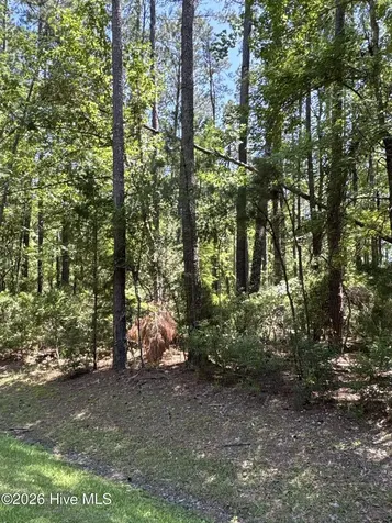 117 Headwaters Drive Oriental NC 28571