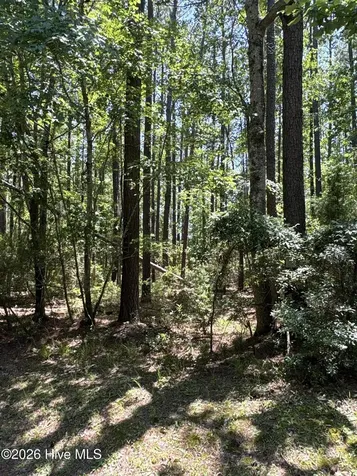 117 Headwaters Drive Oriental NC 28571