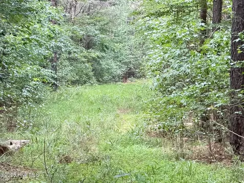 0 Off 1040d Republican Road Windsor NC 27983