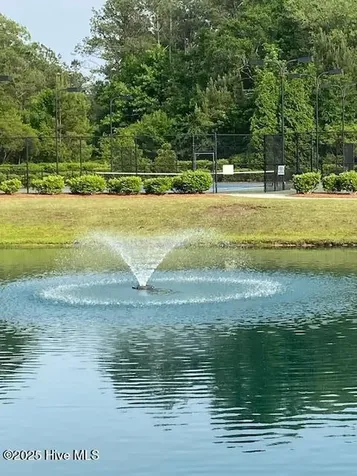 240 Woodlands Way Calabash NC 28467