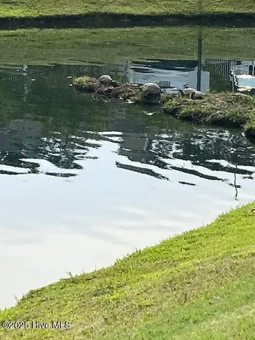 240 Woodlands Way Calabash NC 28467