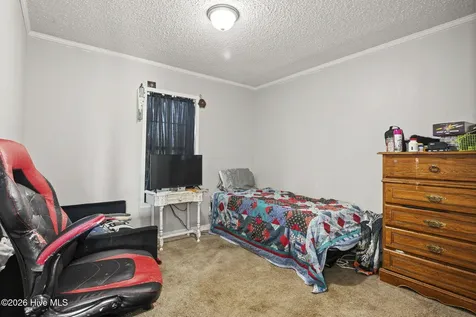 202 Red Sorrel Drive Stella NC 28582