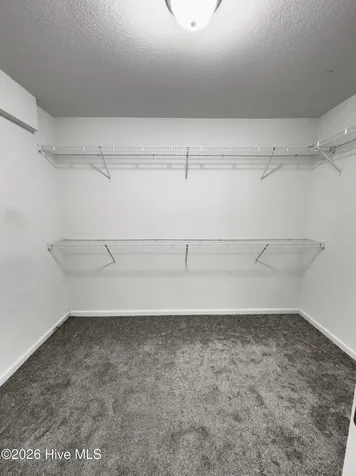203 Saw Briar Court Jacksonville NC 28540