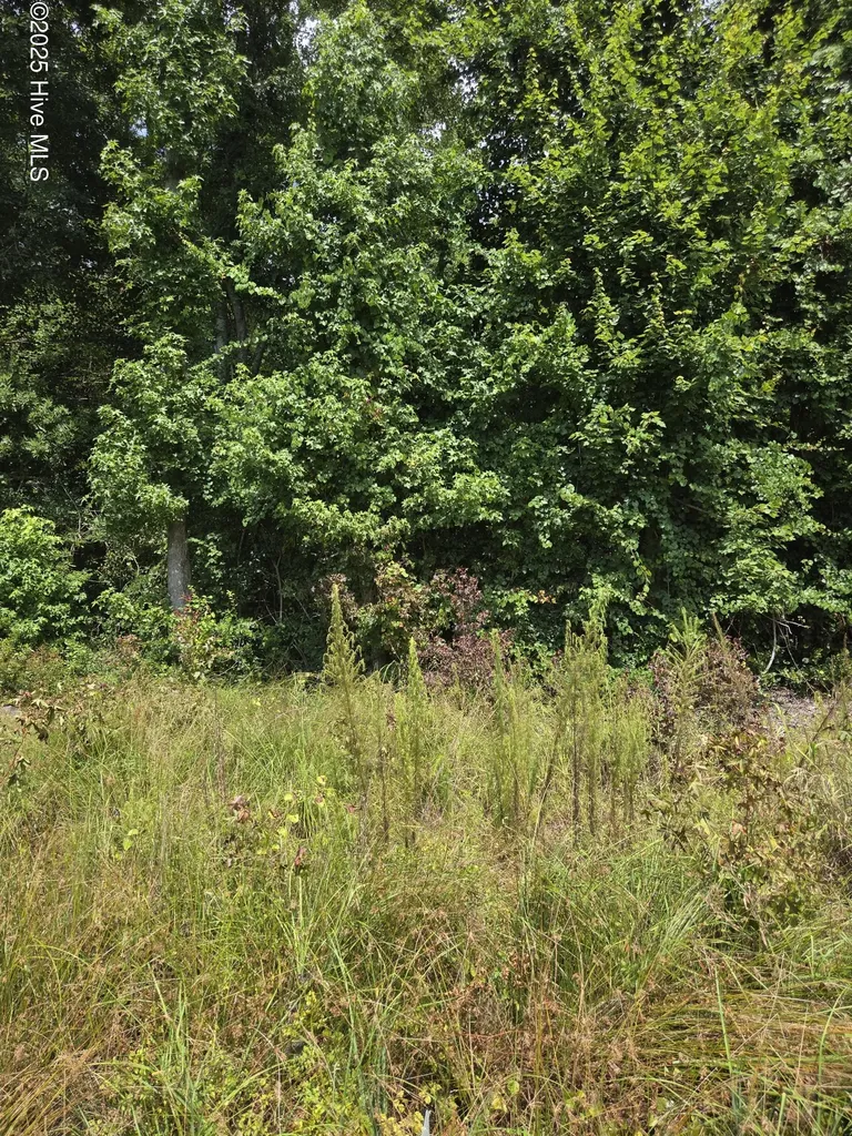 0 Chapman Drive-lots 19 & 20 Drive Grifton NC 28530