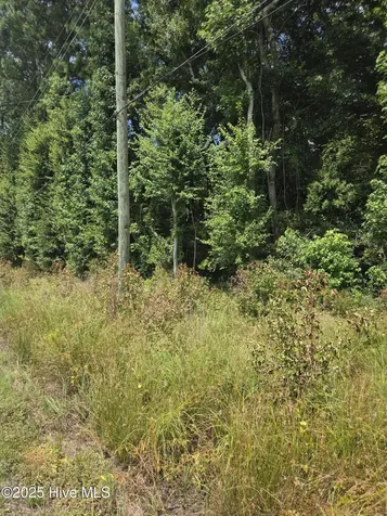 0 Chapman Drive-lots 19 & 20 Drive Grifton NC 28530