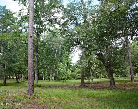 739 Loblolly Drive SW Shallotte NC 28470