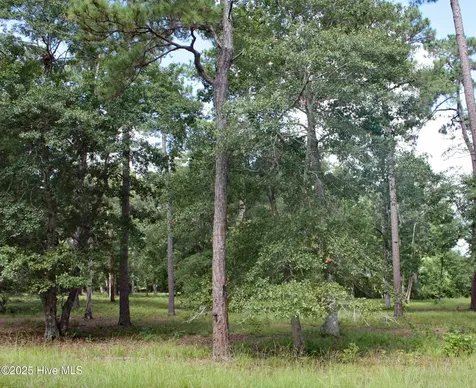739 Loblolly Drive SW Shallotte NC 28470