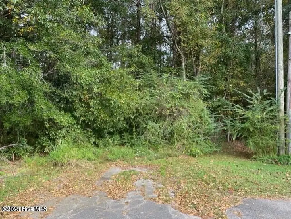 0 Near 715 E 1st Avenue Chadbourn NC 28431