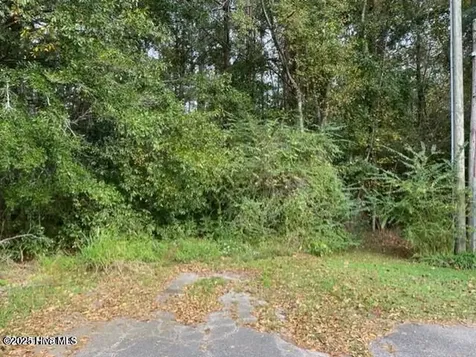 0 Near 715 E 1st Avenue Chadbourn NC 28431