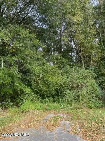0 Near 715 E 1st Avenue Chadbourn NC 28431