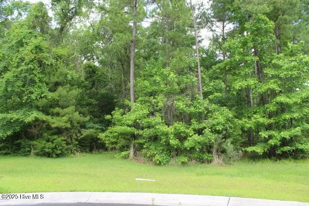 1404 Pindo Court SE Bolivia NC 28422
