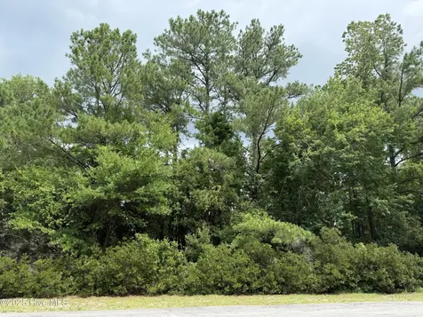 103 Lighthouse Lane New Bern NC 28560