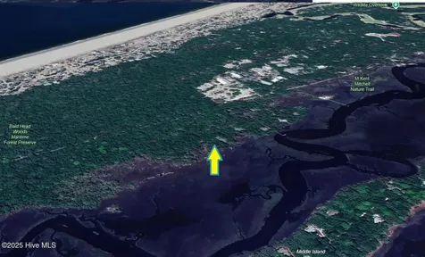 2025 Palmetto Cove Bald Head Island NC 28461