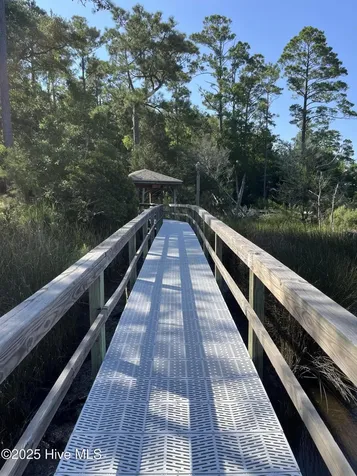 205 Egret Point Drive Sneads Ferry NC 28460