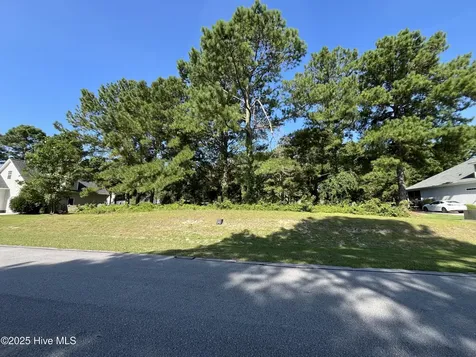 205 Egret Point Drive Sneads Ferry NC 28460