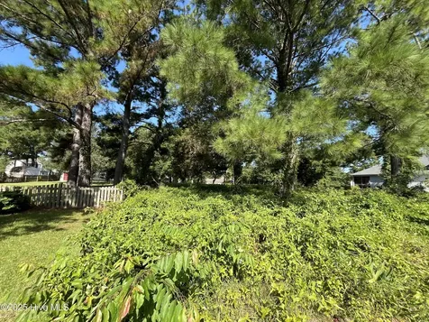205 Egret Point Drive Sneads Ferry NC 28460