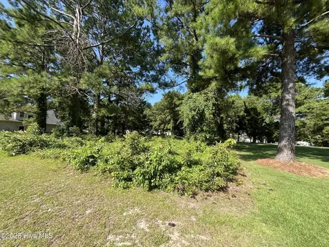 205 Egret Point Drive Sneads Ferry NC 28460