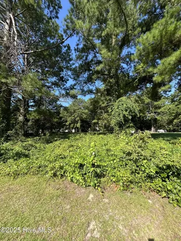 205 Egret Point Drive Sneads Ferry NC 28460