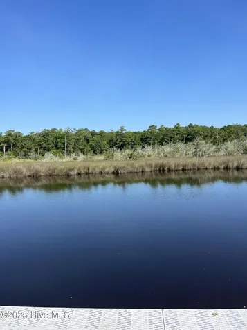 205 Egret Point Drive Sneads Ferry NC 28460
