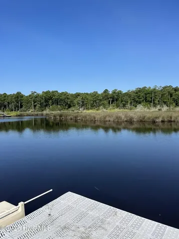 205 Egret Point Drive Sneads Ferry NC 28460