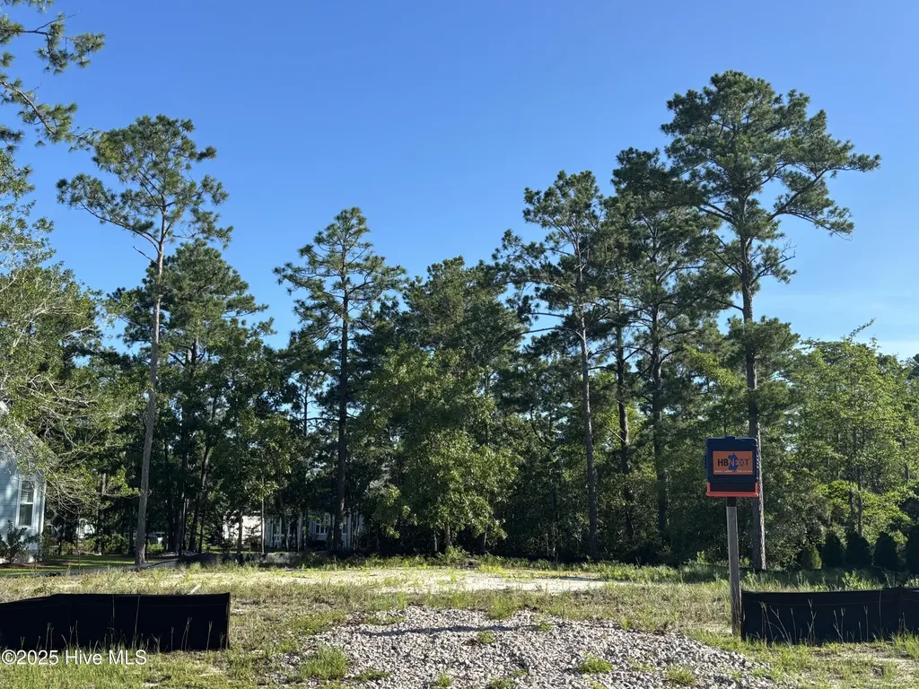 454 Tasha Court SE Bolivia NC 28422