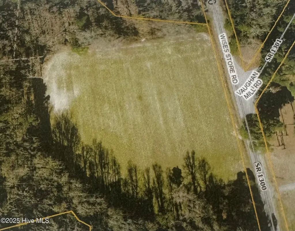 Tbd Wise Store Road Lot 4 Murfreesboro NC 27855