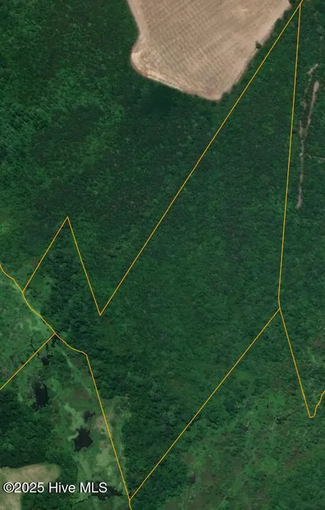 0 E Darden Road Faison NC 28341