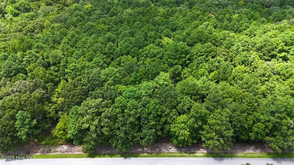 Tbd Boat Ramp Road New Hope NC 27944