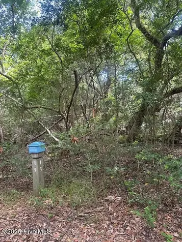 15 Red Cedar Trail Bald Head Island NC 28461