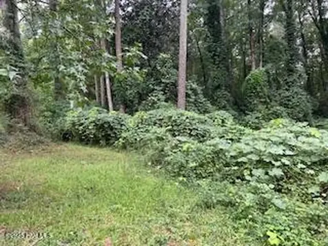 0 W Grove Circle Kenansville NC 28349