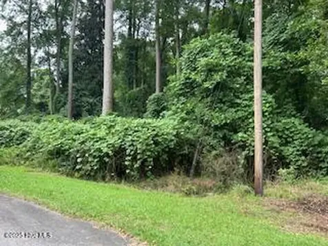 0 W Grove Circle Kenansville NC 28349