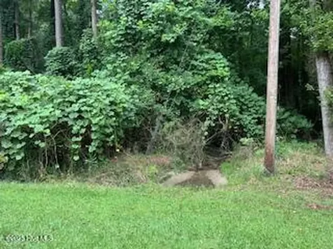 0 W Grove Circle Kenansville NC 28349