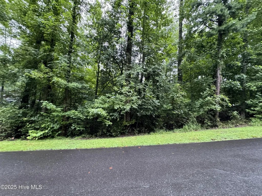 Lot 309 Holiday Drive Troy NC 27371