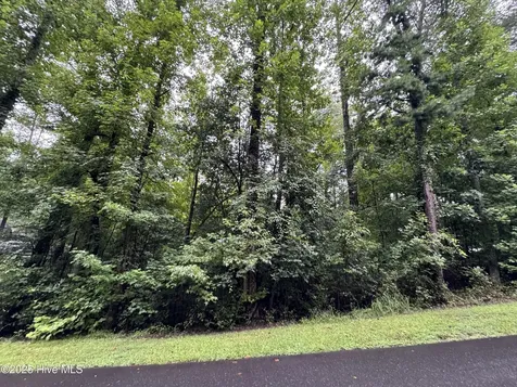 Lot 309 Holiday Drive Troy NC 27371