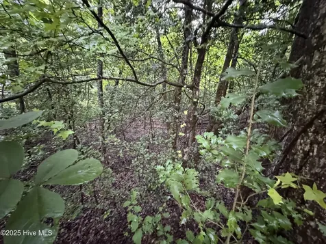 Lot 309 Holiday Drive Troy NC 27371