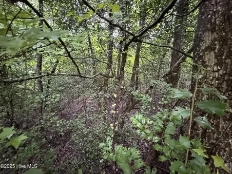 Lot 309 Holiday Drive Troy NC 27371