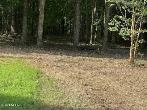 #20 Freshwater Drive Blounts Creek NC 27814