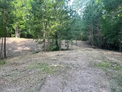 #20 Freshwater Drive Blounts Creek NC 27814