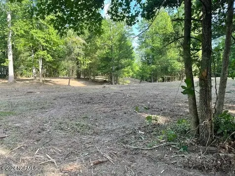 #20 Freshwater Drive Blounts Creek NC 27814