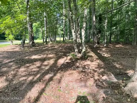 #20 Freshwater Drive Blounts Creek NC 27814