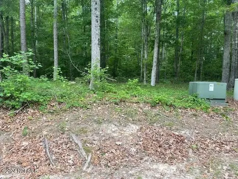 #20 Freshwater Drive Blounts Creek NC 27814