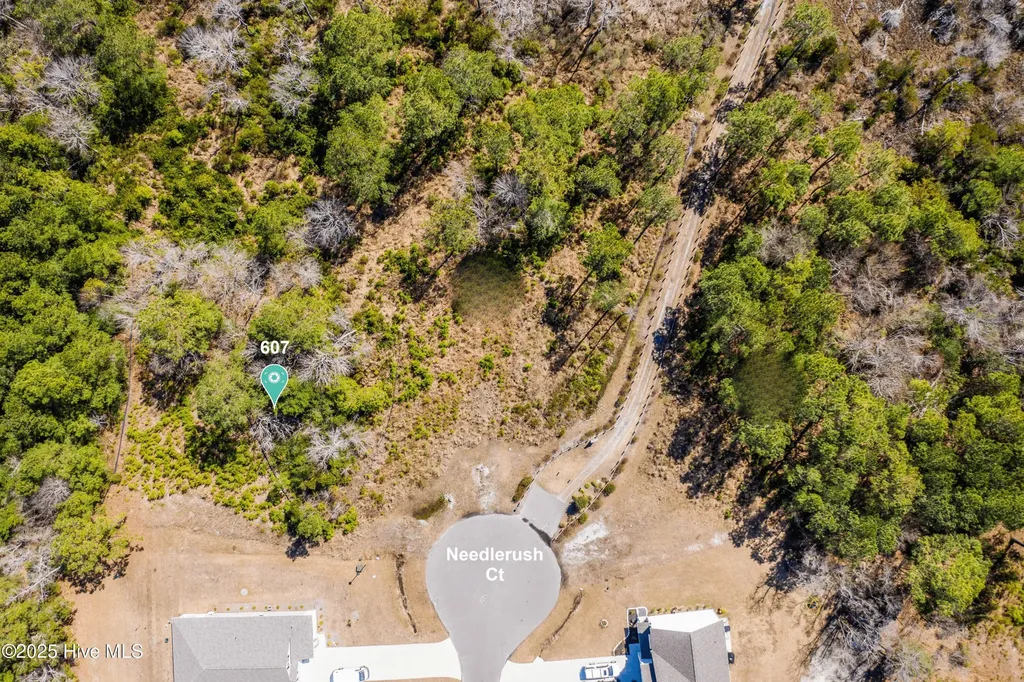 607 Needlerush Court Sneads Ferry NC 28460