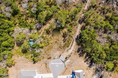 607 Needlerush Court Sneads Ferry NC 28460