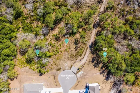 607 Needlerush Court Sneads Ferry NC 28460